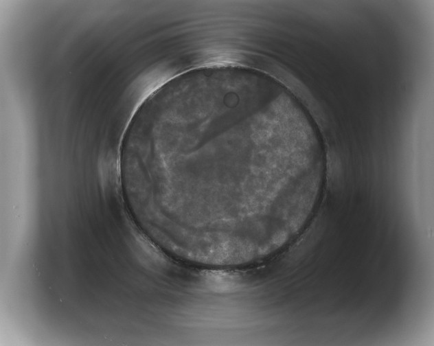 X0000103901234200809261543