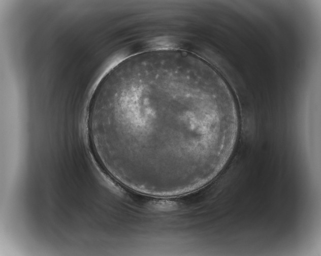 X0000103901235200809261543