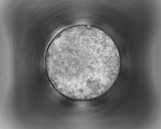 X0000103901236200809261543