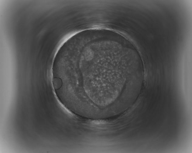 X0000103901239200809261543