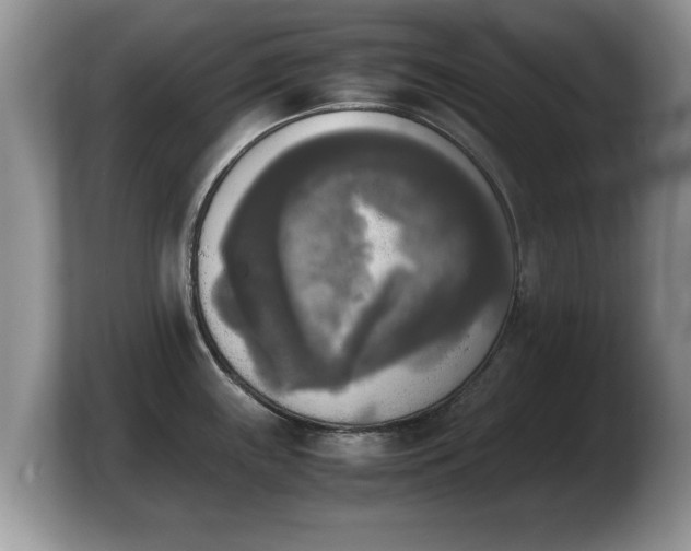 X0000103901243200809261543