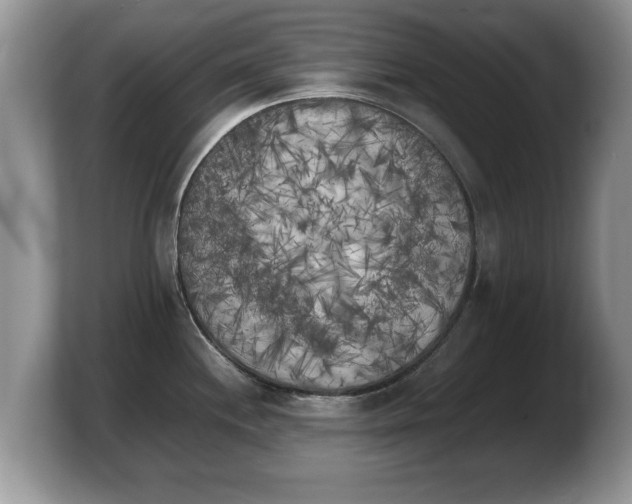 X0000103901244200809261543
