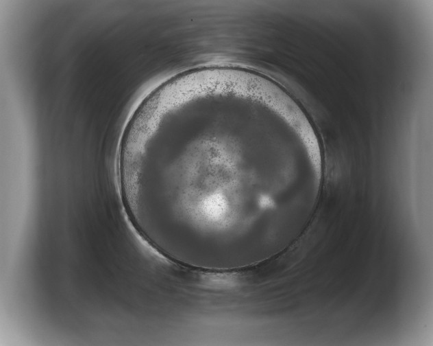 X0000103901247200809261543