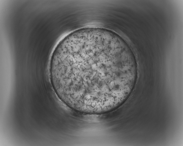 X0000103901248200809261543