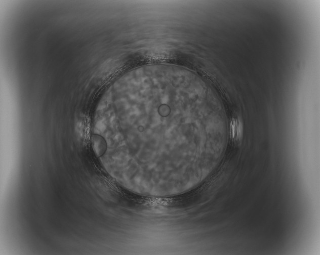 X0000103901251200809261542