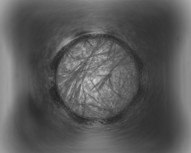 X0000103901255200809261542