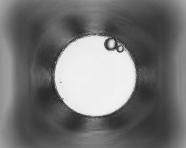 X0000103901257200809261542