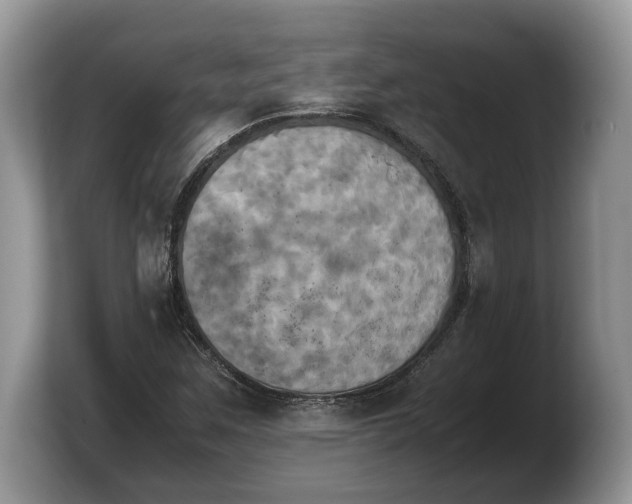 X0000103901259200809261542