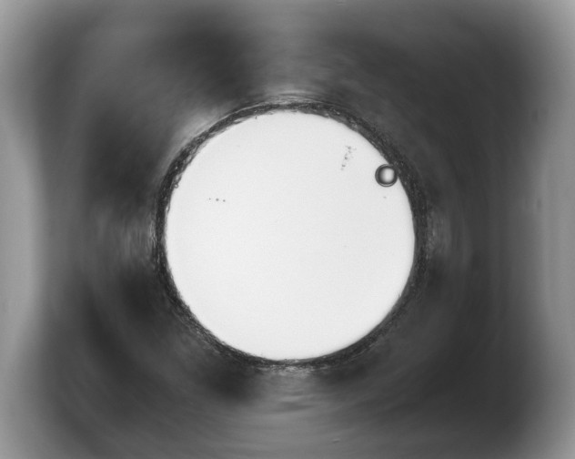 X0000103901261200809261542