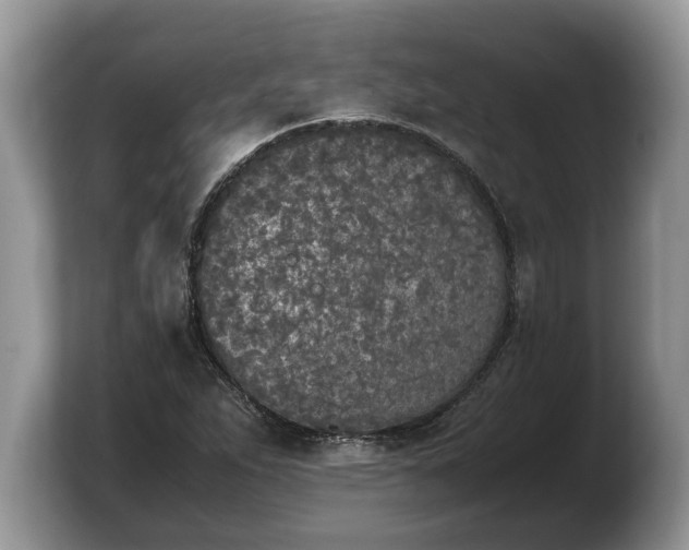 X0000103901263200809261542