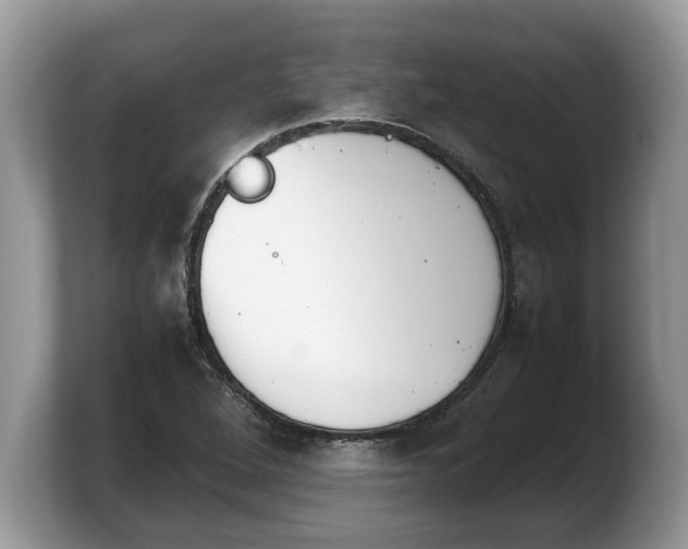 X0000103901264200809261542