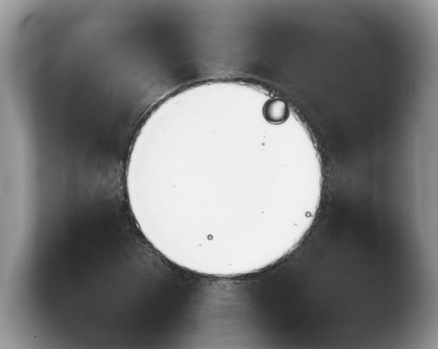 X0000103901265200809261542