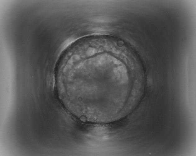 X0000103901267200809261542