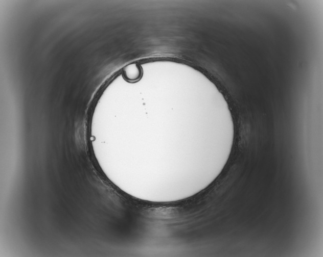 X0000103901268200809261542