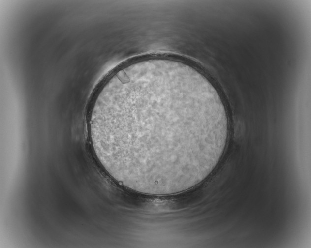 X0000103901271200809261542
