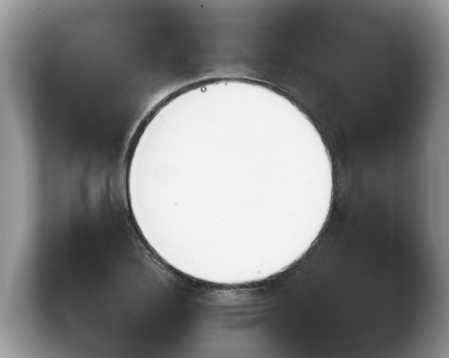 X0000103901272200809261542