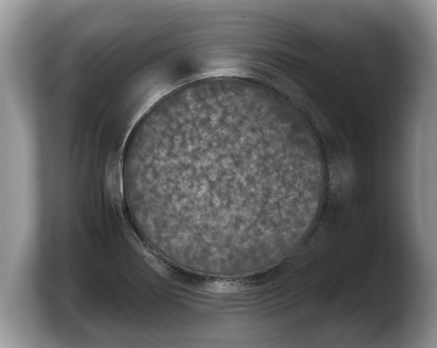 X0000103901274200809261542