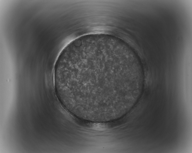 X0000103901275200809261542