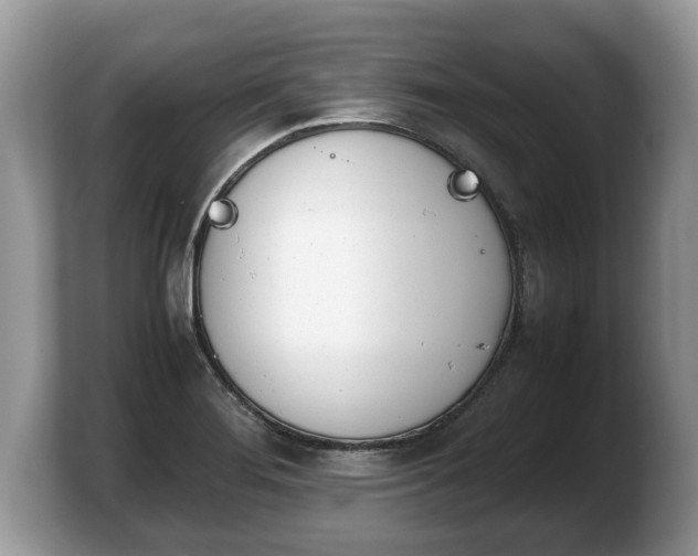 X0000103901276200809261542