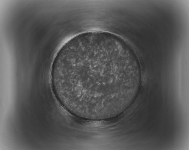 X0000103901279200809261542