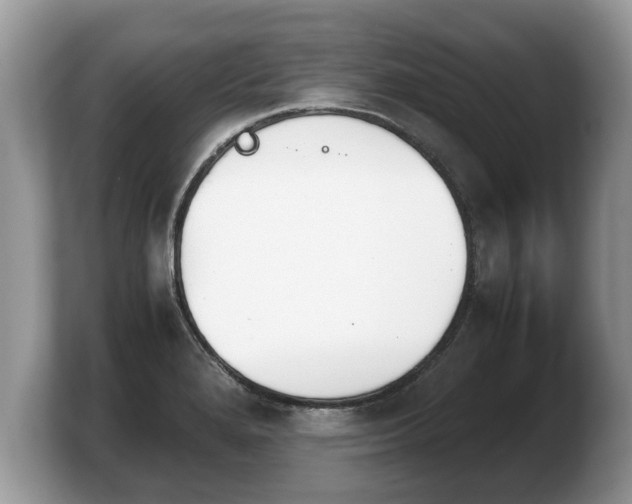 X0000103901280200809261542