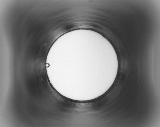 X0000103901281200809261542