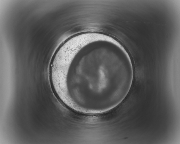 X0000103901283200809261542