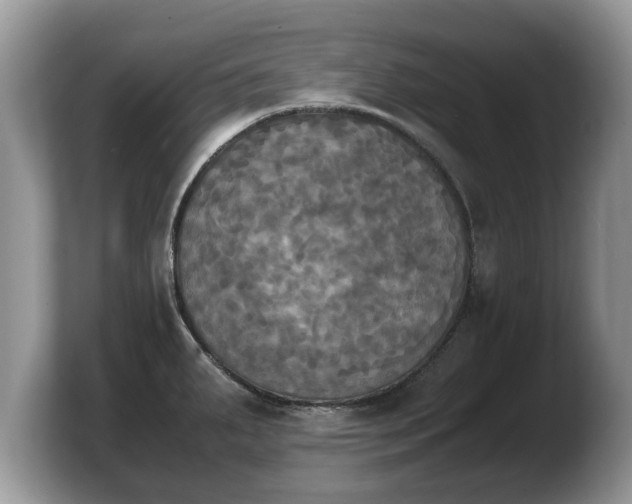X0000103901287200809261542
