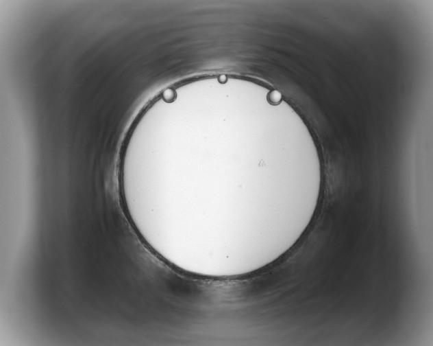 X0000103901288200809261542