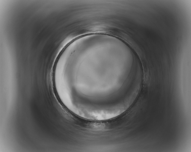 X0000103901291200809261542