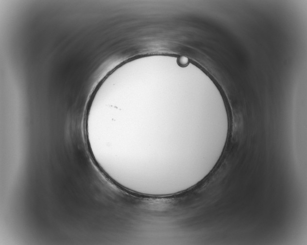 X0000103901293200809261542