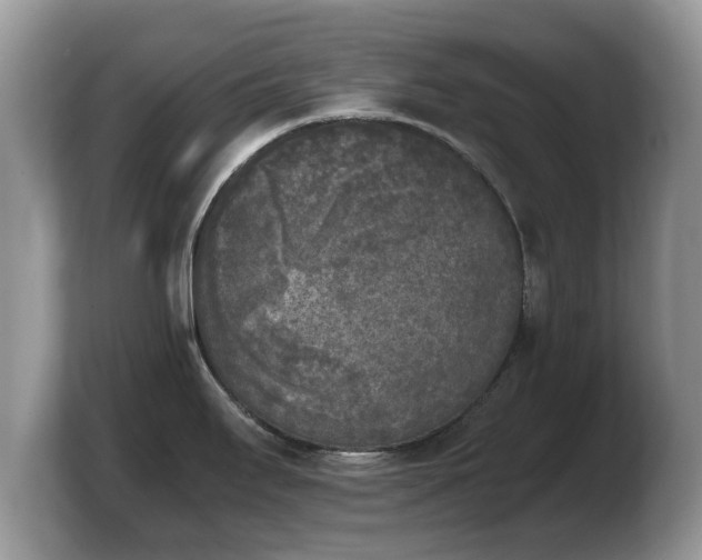 X0000103901295200809261542
