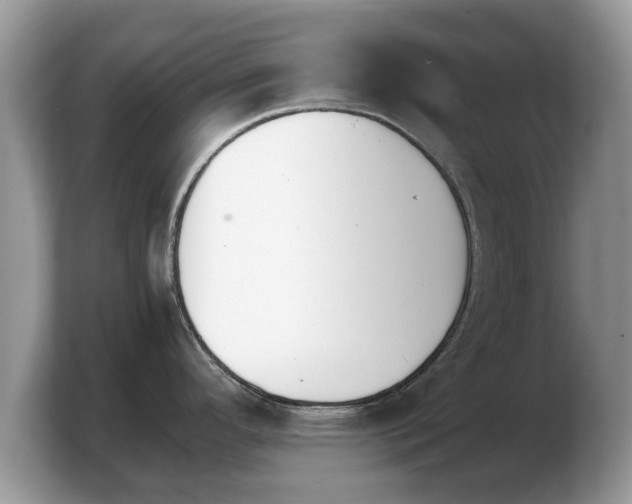 X0000103901296200809261542