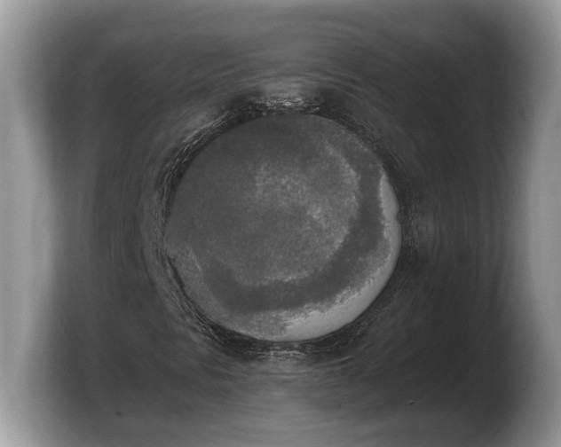 X0000103901297200809261541
