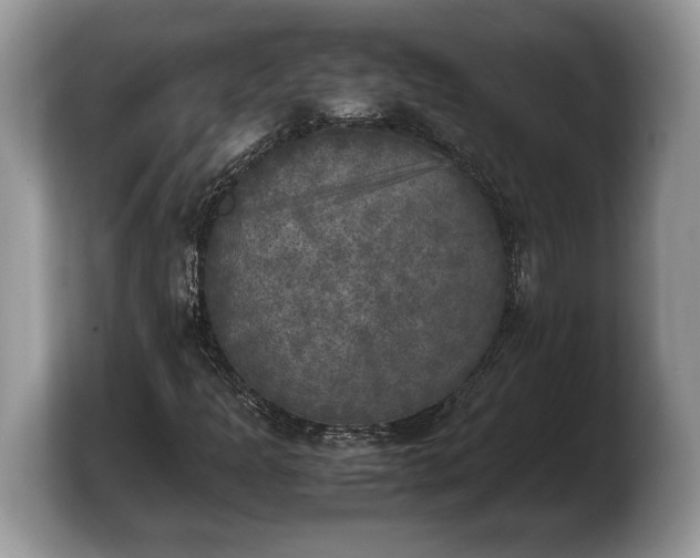 X0000103901301200809261541