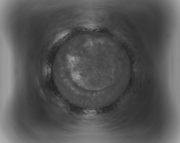 X0000103901302200809261541