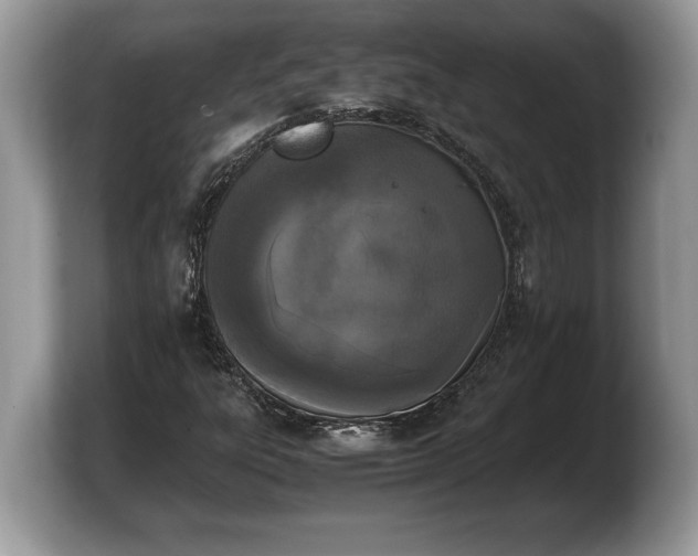 X0000103901303200809261541