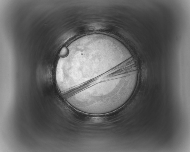 X0000103901305200809261541