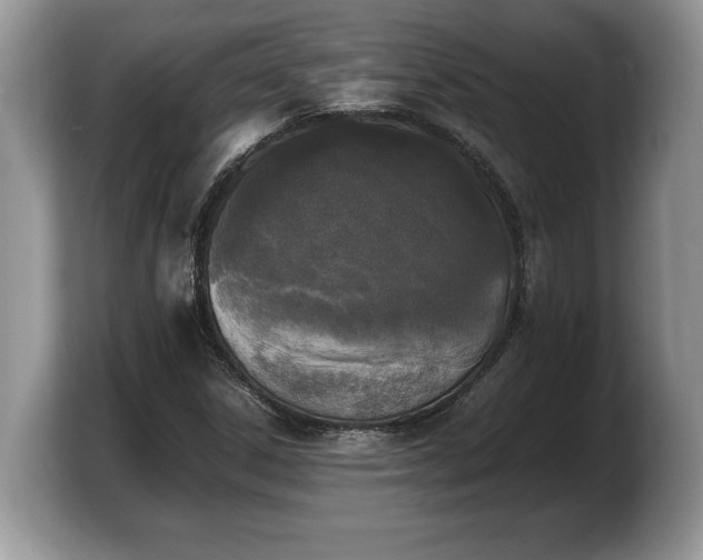 X0000103901306200809261541