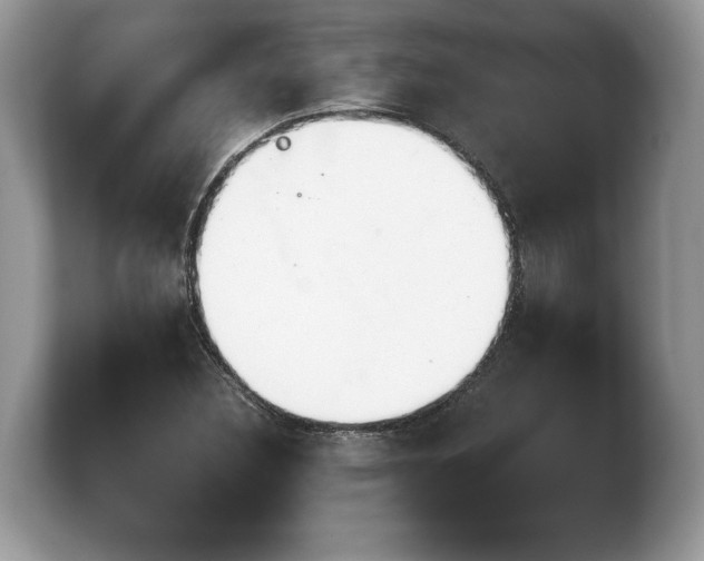 X0000103901308200809261541