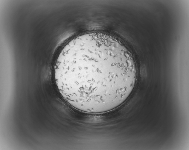 X0000103901309200809261541