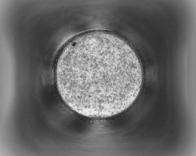 X0000103901310200809261541
