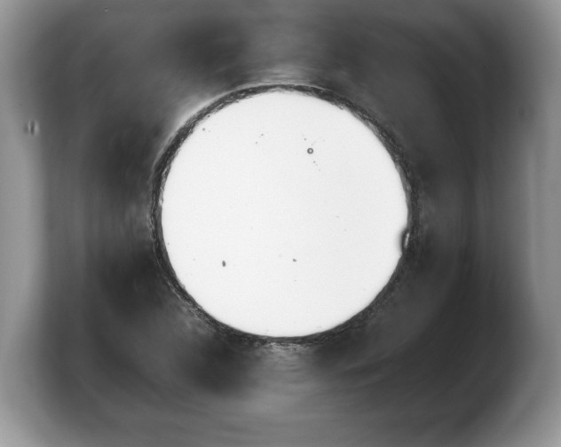 X0000103901312200809261541