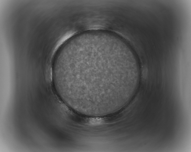 X0000103901317200809261541