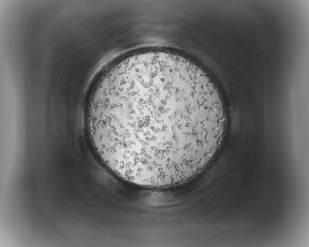 X0000103901318200809261541