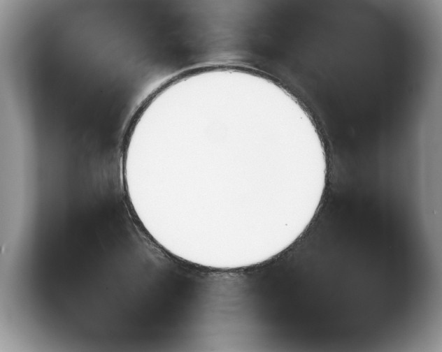 X0000103901320200809261541