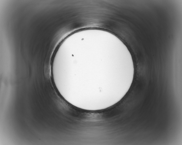 X0000103901324200809261542