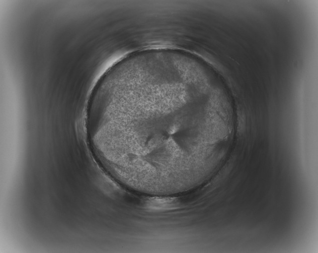 X0000103901325200809261542