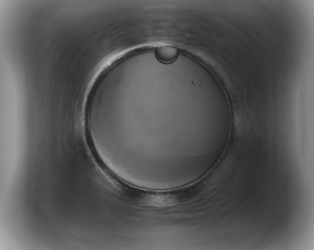 X0000103901327200809261542