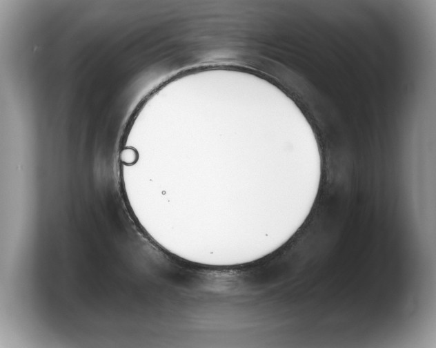 X0000103901328200809261542